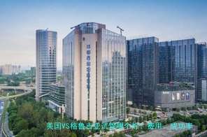 美国VS格鲁吉亚试管哪个好?费用、成功率、法律一次讲清
