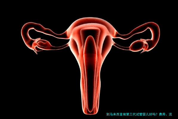 到马来西亚做第三代试管婴儿好吗?费用、流程和利弊一次讲清