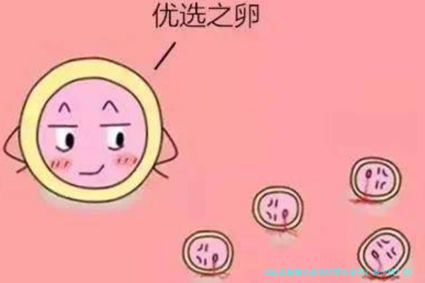现在去格鲁吉亚做试管安全吗?多少钱?2025年费用与安全实情