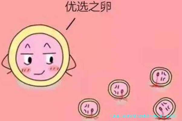 马来西亚做试管婴儿的费用怎样计算？各项花费和避坑点一次说清