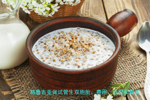 格鲁吉亚做试管生双胞胎：费用、流程和真实体验，一篇说透