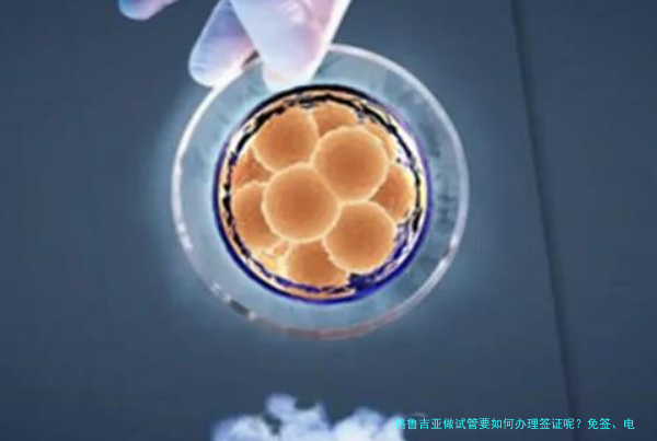 格鲁吉亚做试管要如何办理签证呢?免签、电子签和延期全说清