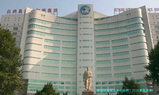 泰国试管婴儿多少钱啊?2025费用清单、隐藏开销和真实案例