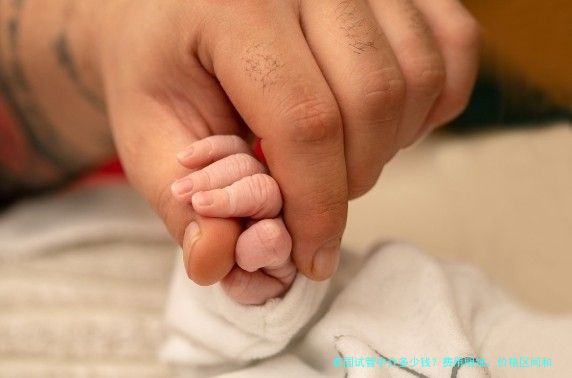 泰国试管中介多少钱?费用明细、价格区间和避坑经验