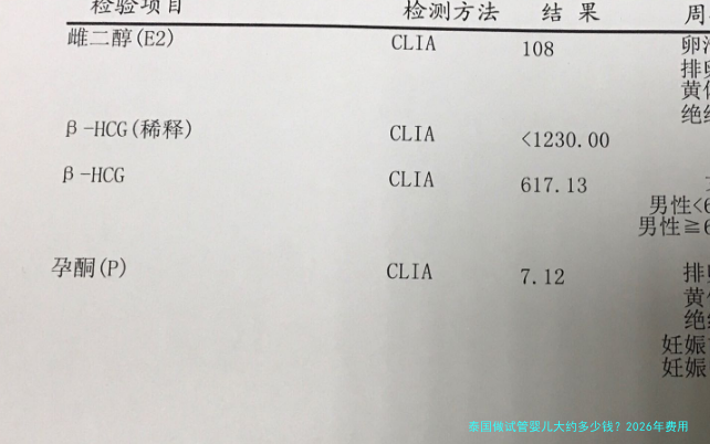 泰国做试管婴儿大约多少钱?2026年费用清单与真实预算分享