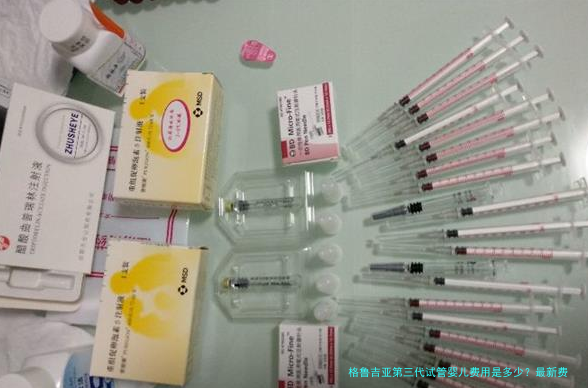 格鲁吉亚第三代试管婴儿费用是多少?最新费用明细与避坑指南