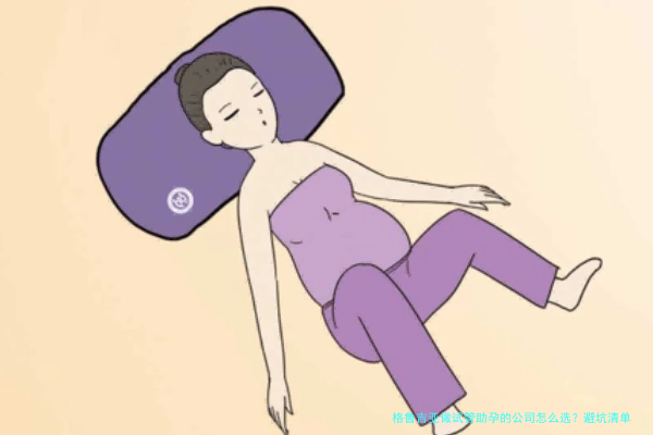 格鲁吉亚做试管助孕的公司怎么选?避坑清单和流程拆解