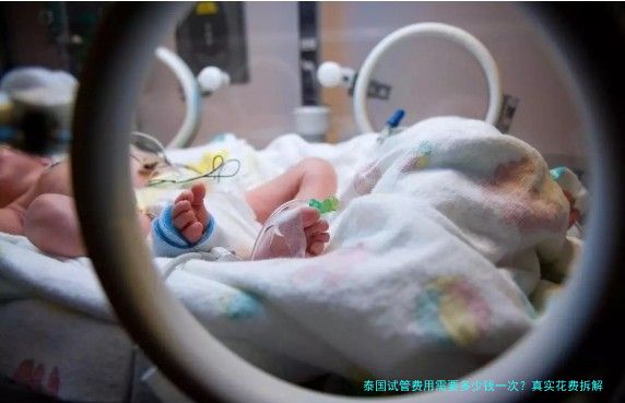 泰国试管费用需要多少钱一次?真实花费拆解与省钱建议