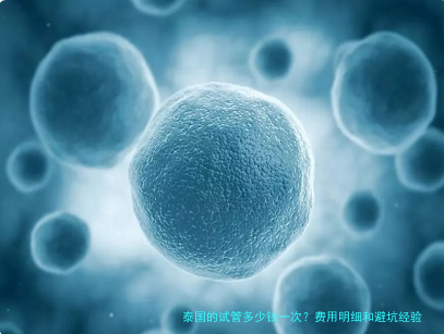 泰国的试管多少钱一次?费用明细和避坑经验